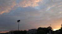La douleur va être présente