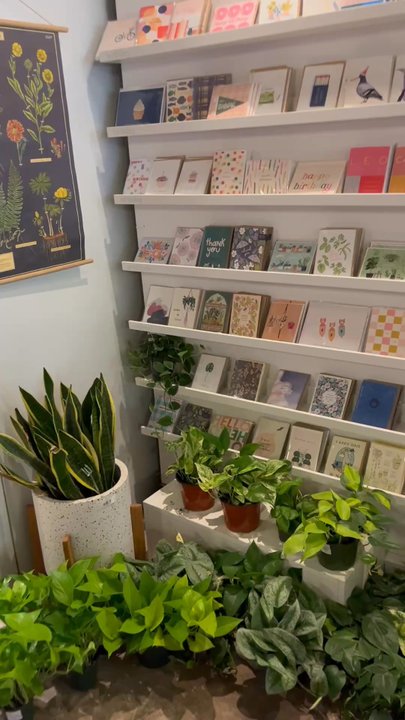 Rooted Living - Inside - Nurseries & Gardening Near Me - Chicago, Illinois