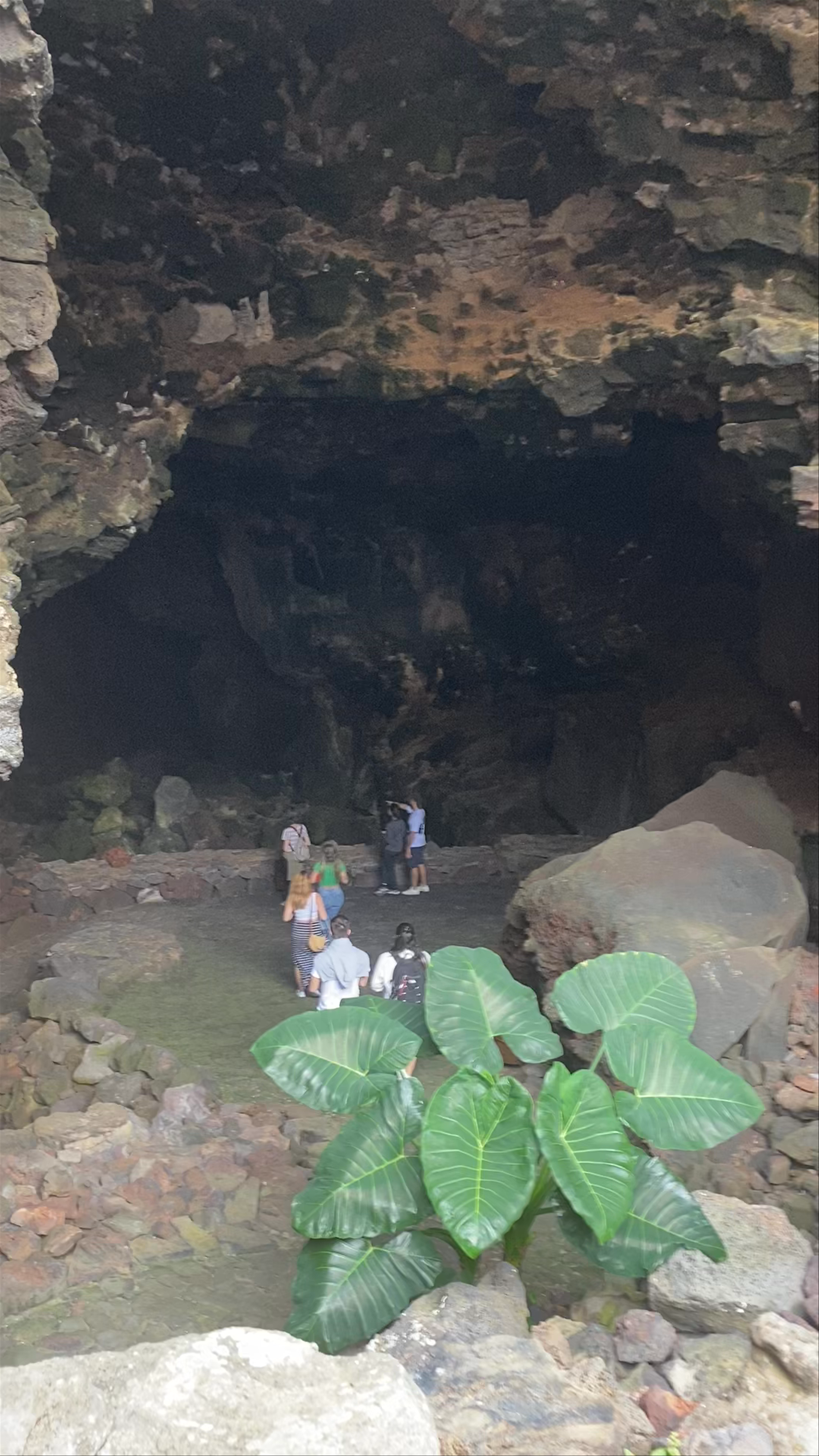 Cueva de los Verdes