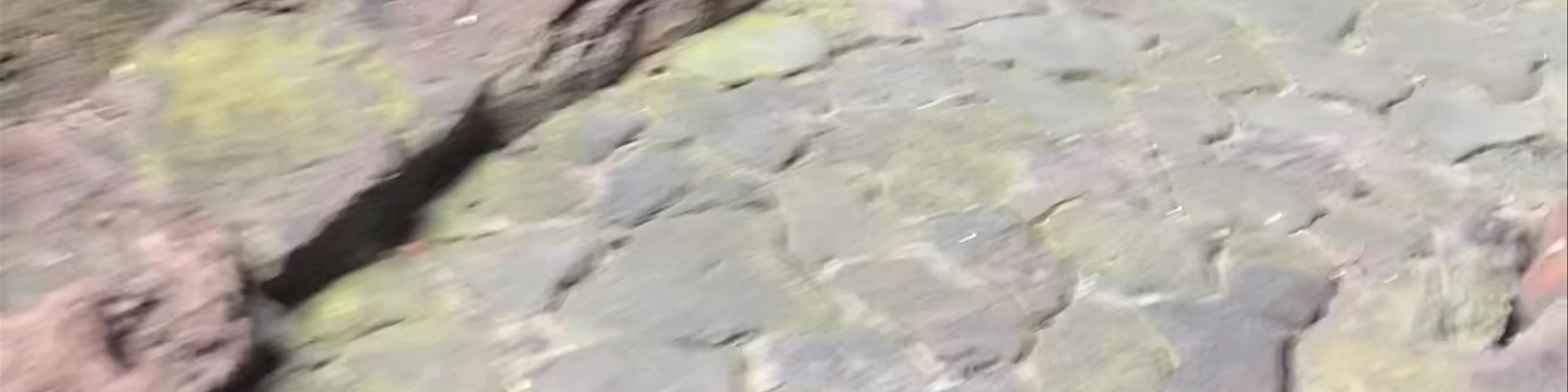 Cueva de los Verdes