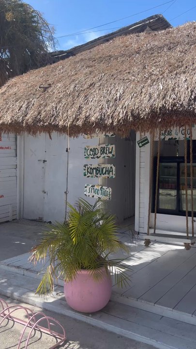 Matcha Mama - Juice Bars & Smoothies Near Me - Tulum, ROO
