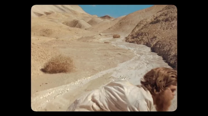 Grizzly Bear • Knife