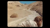 Grizzly Bear • Knife