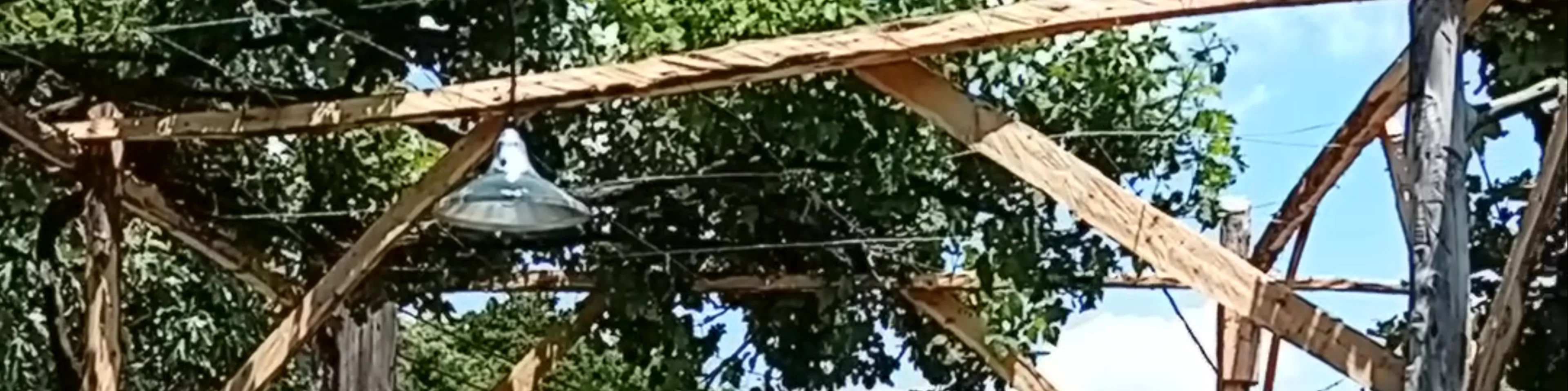 Petroto