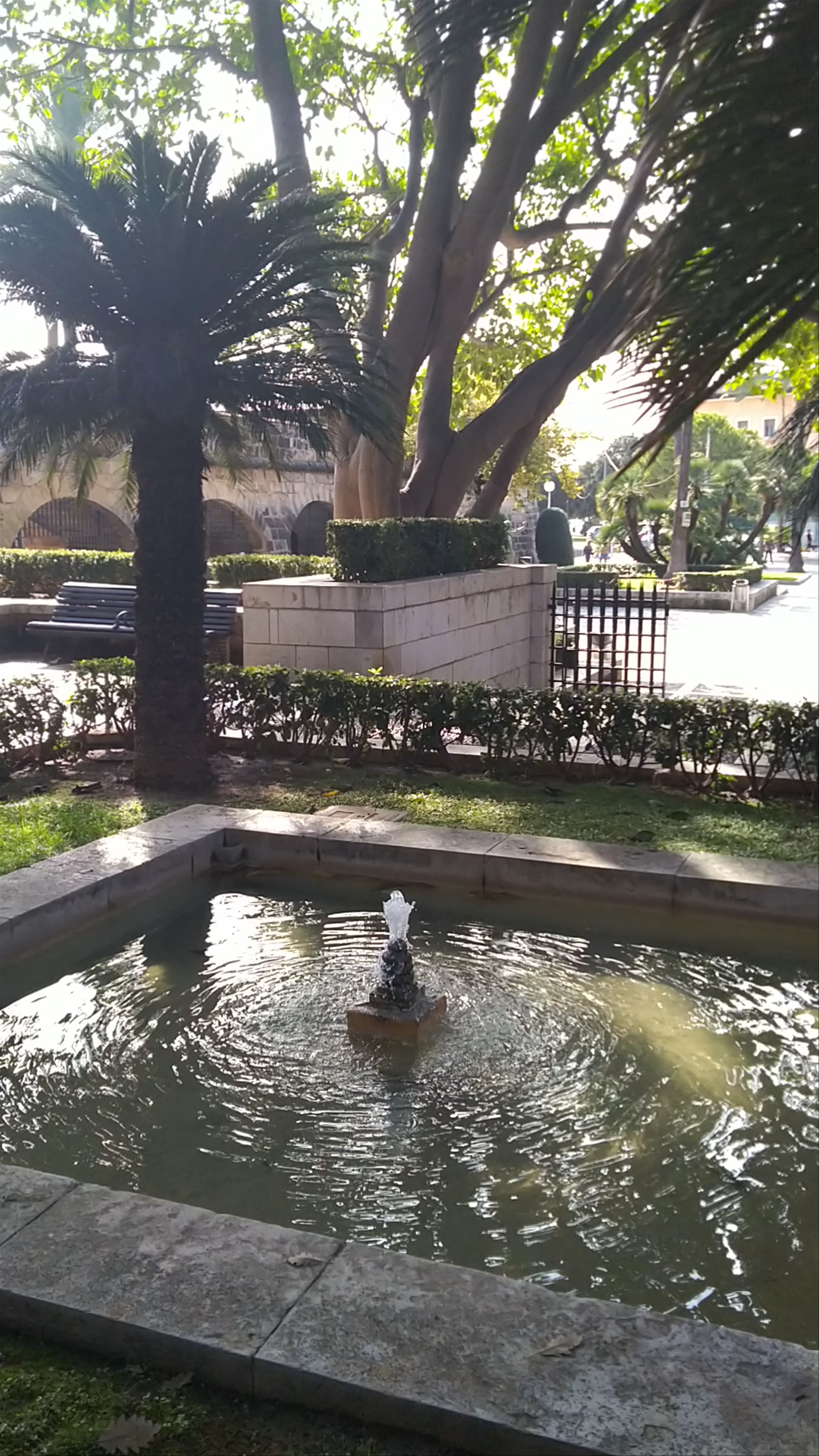 L'Hort del Rei: Tranquil Historical Garden in Palma
