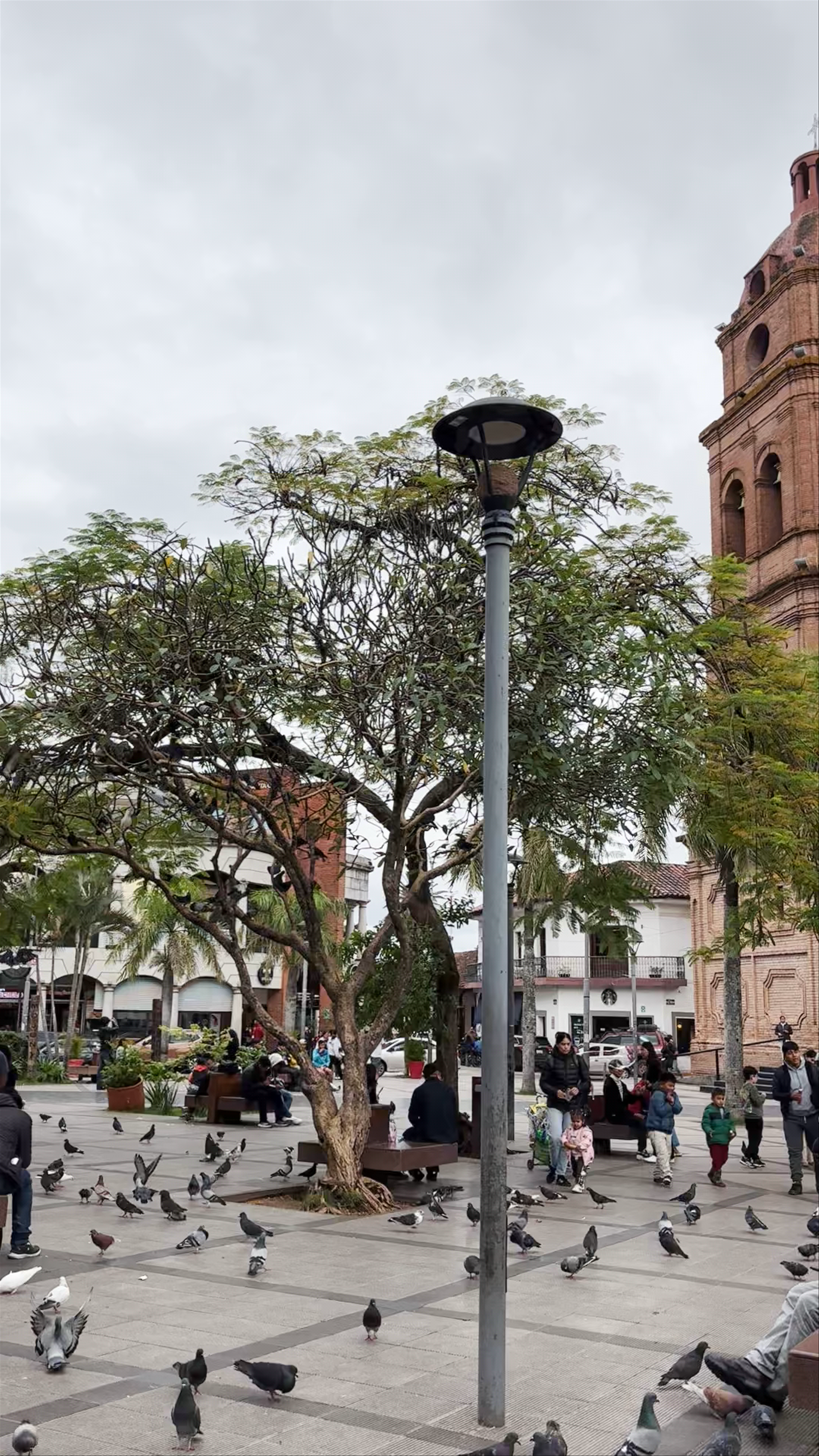 Catedral Metropolitana Basílica Menor de San Lorenzo