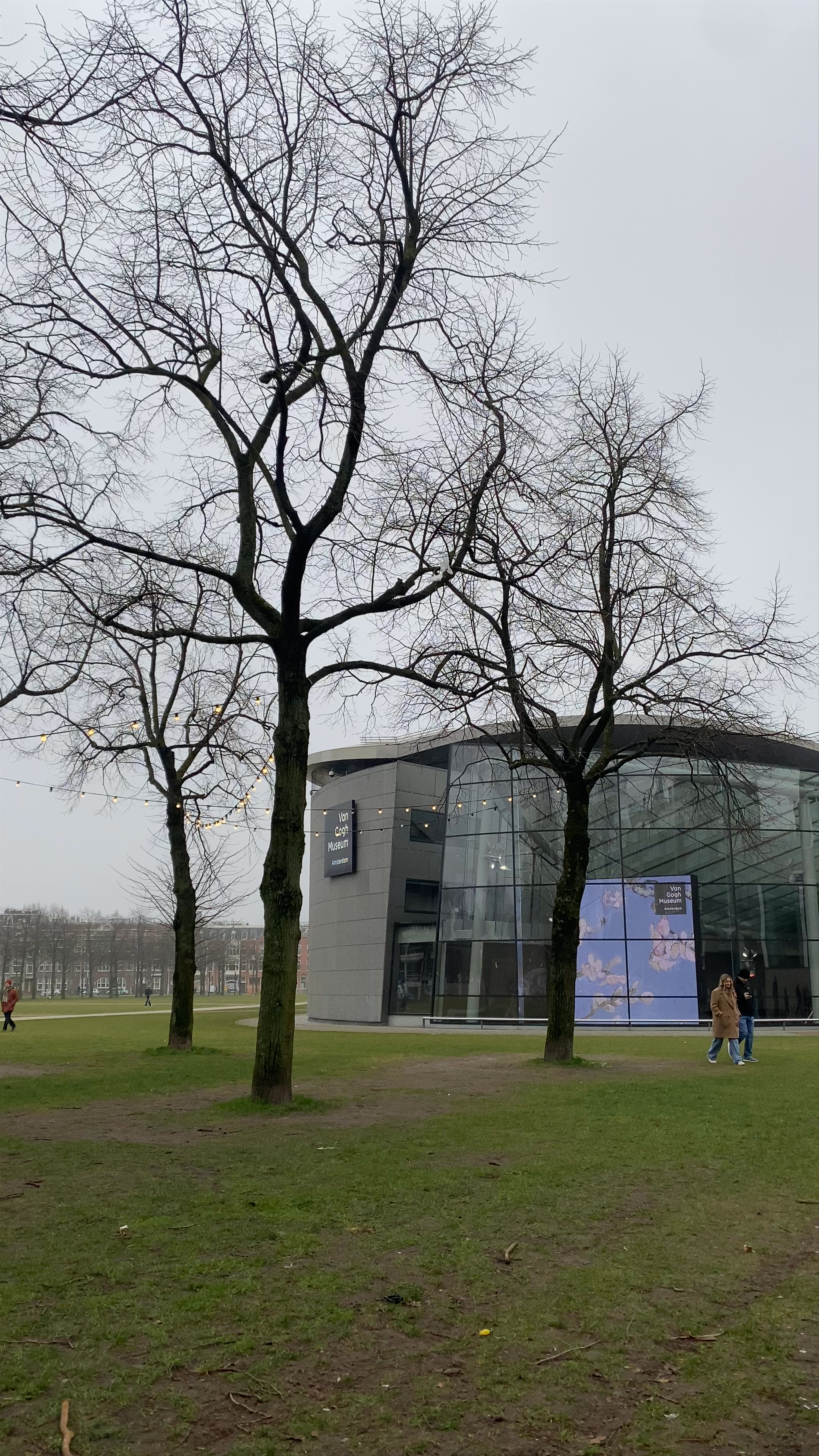 Van Gogh Museum: A Masterpiece Journey in Amsterdam