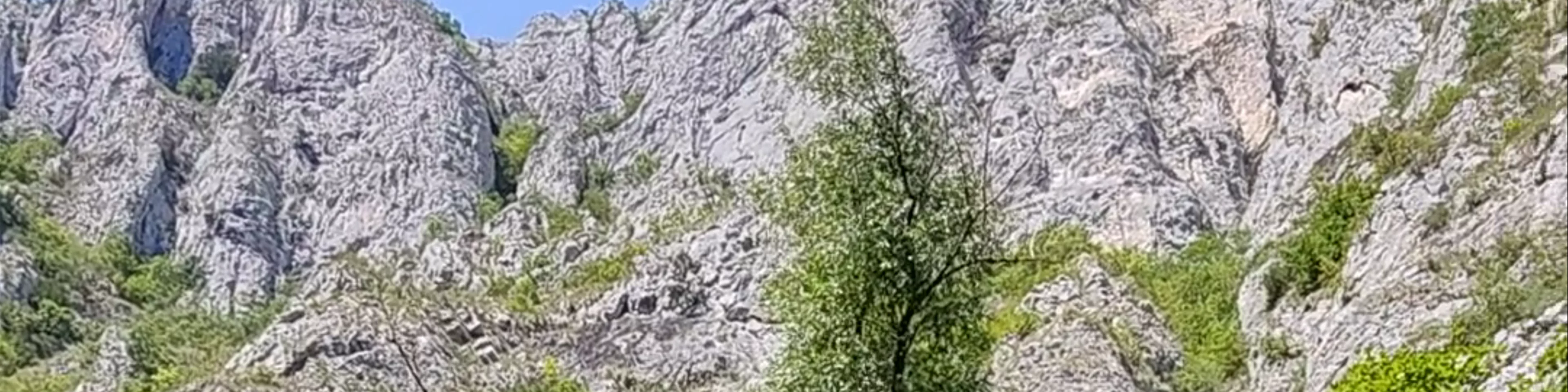 Cheile Turzii
