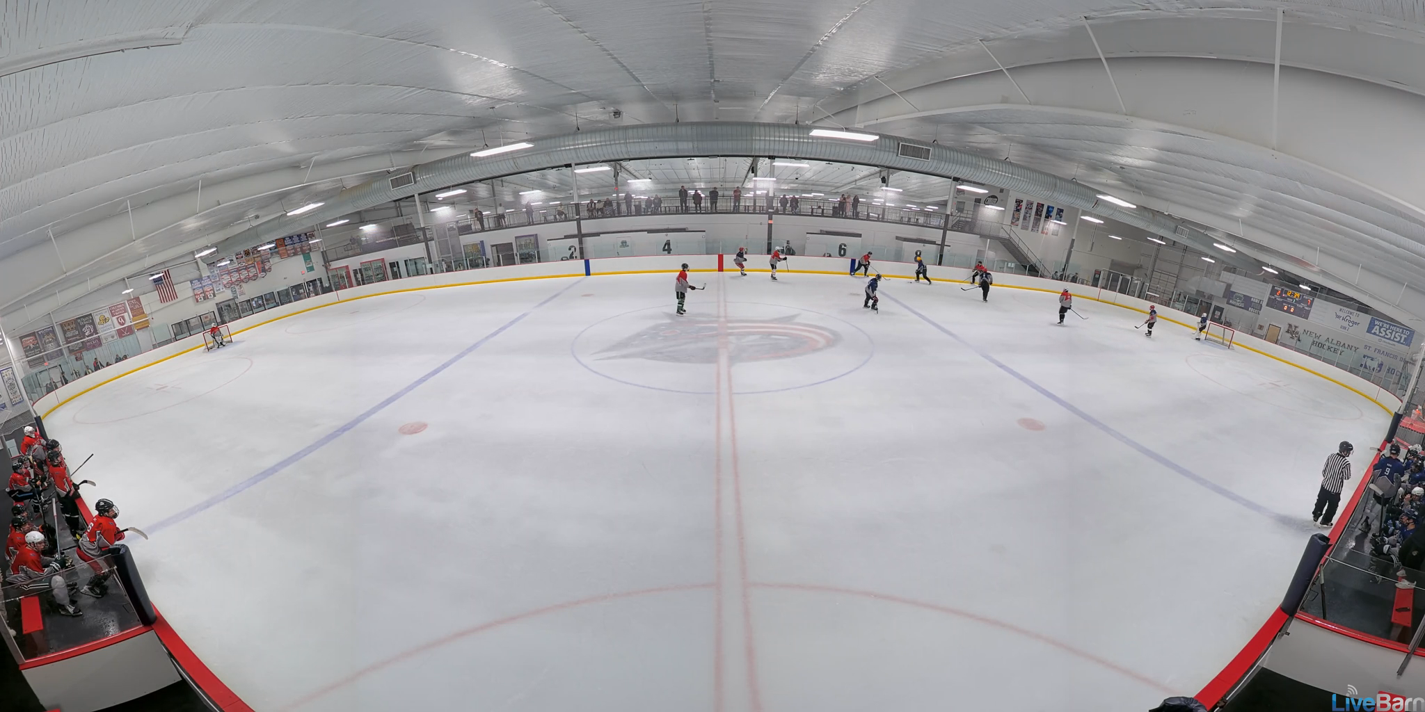 Marco Cappabianca's Impressive Goals at Mole Hockey Combine