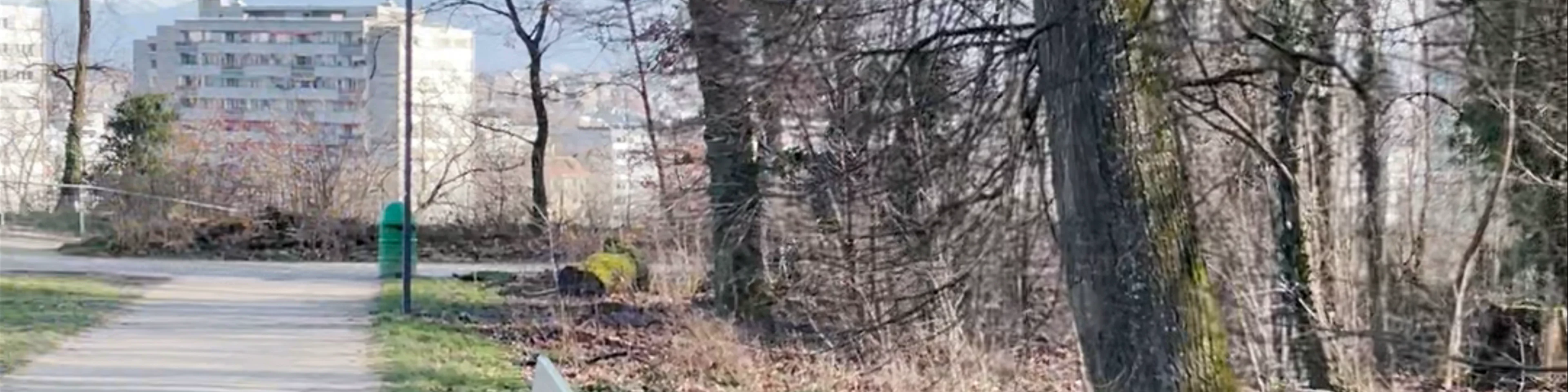 Bois de la Bâtie