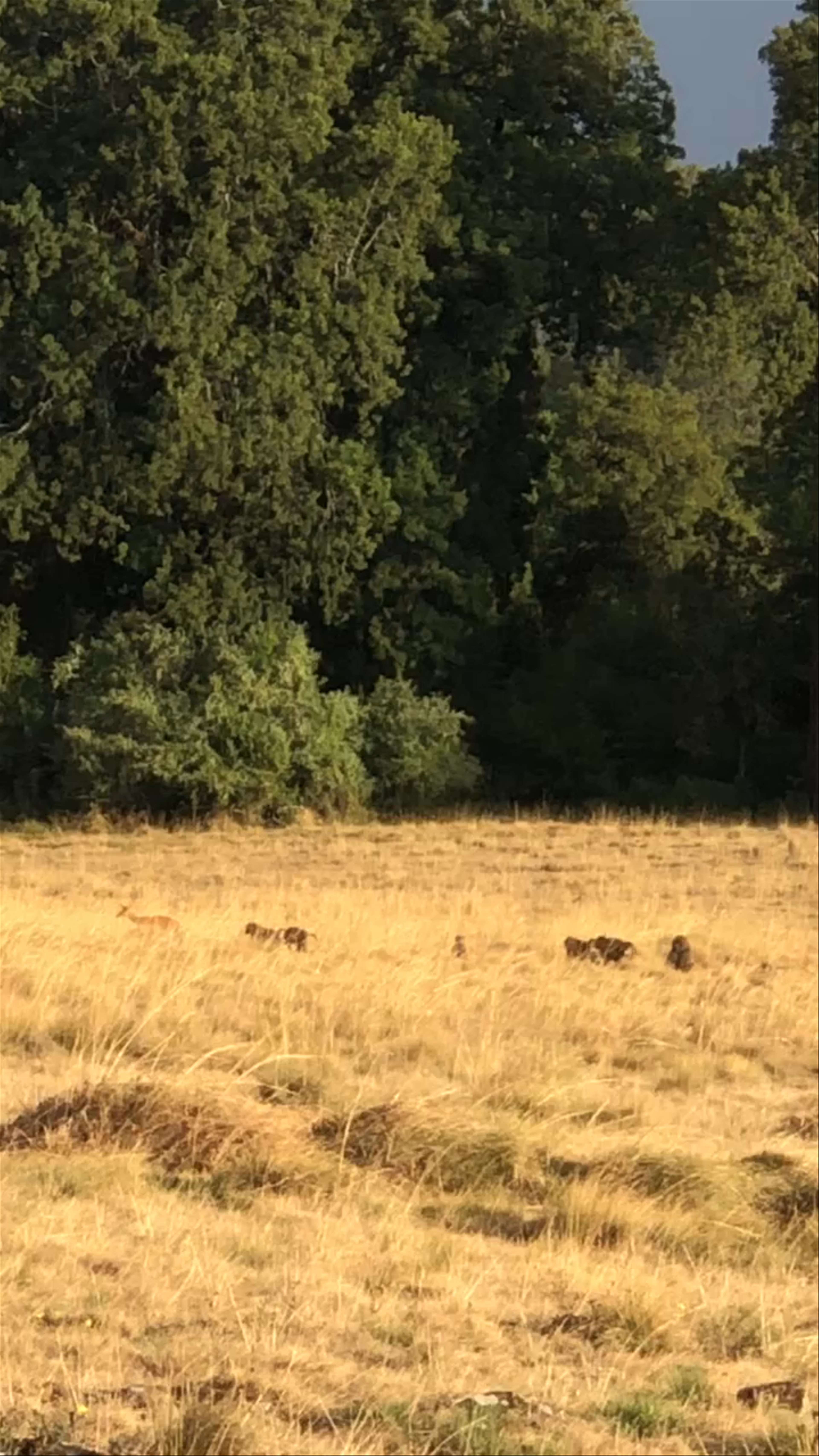 Mt Elgon National Park Chorlim Gate