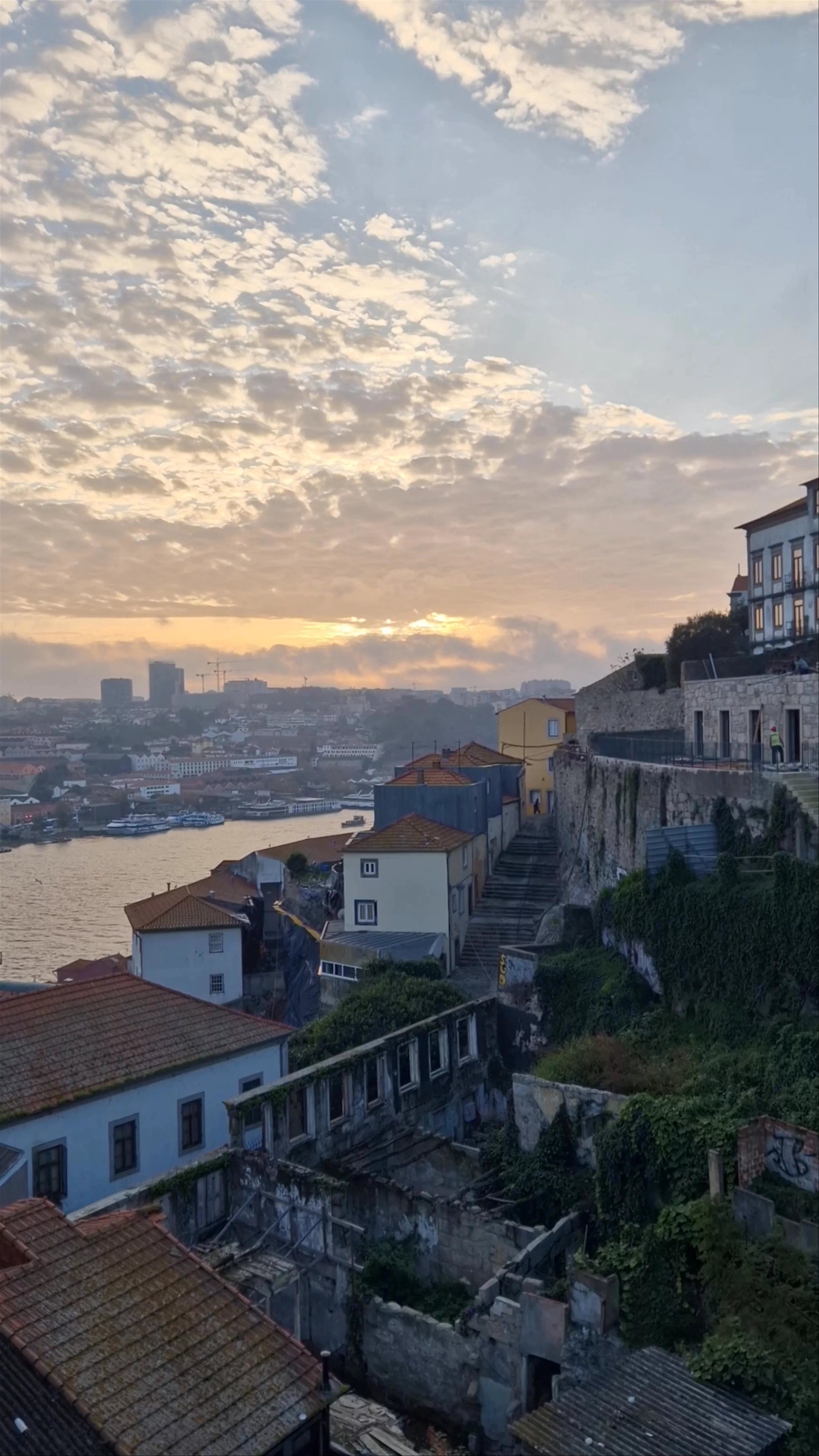 Miradouro da Rua das Aldas, Rua das Aldas