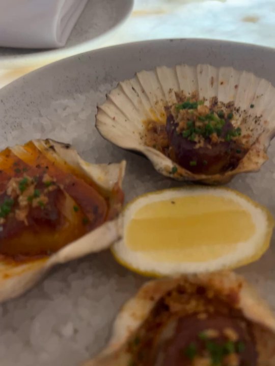 Brodeto - Seafood Near Me - Raleigh, North Carolina