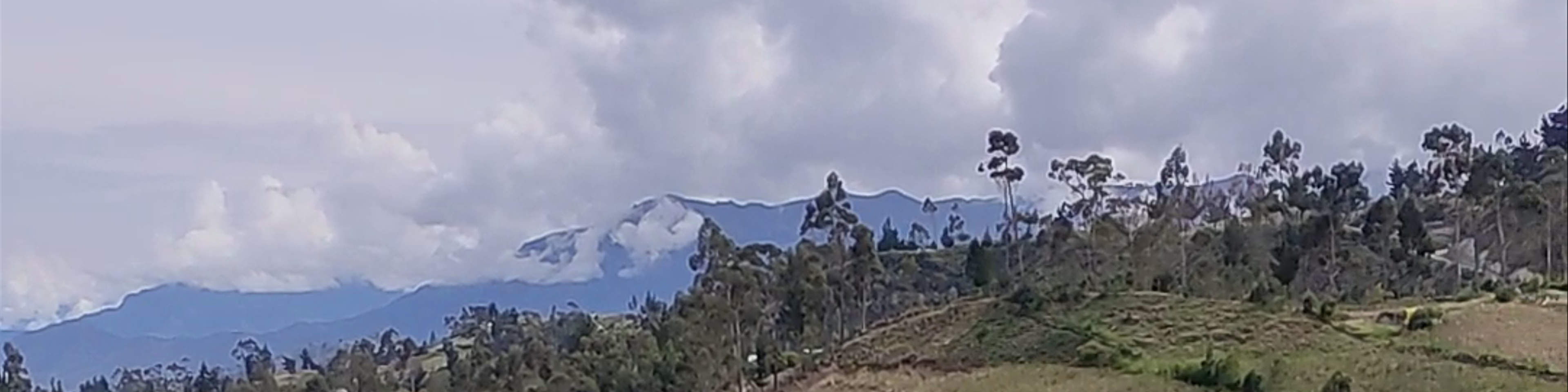 Pujilí