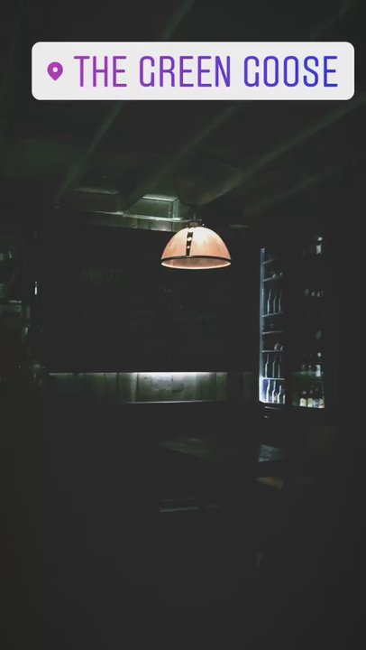 The Green Goose - Irish Pub Near Me - Paris, 75