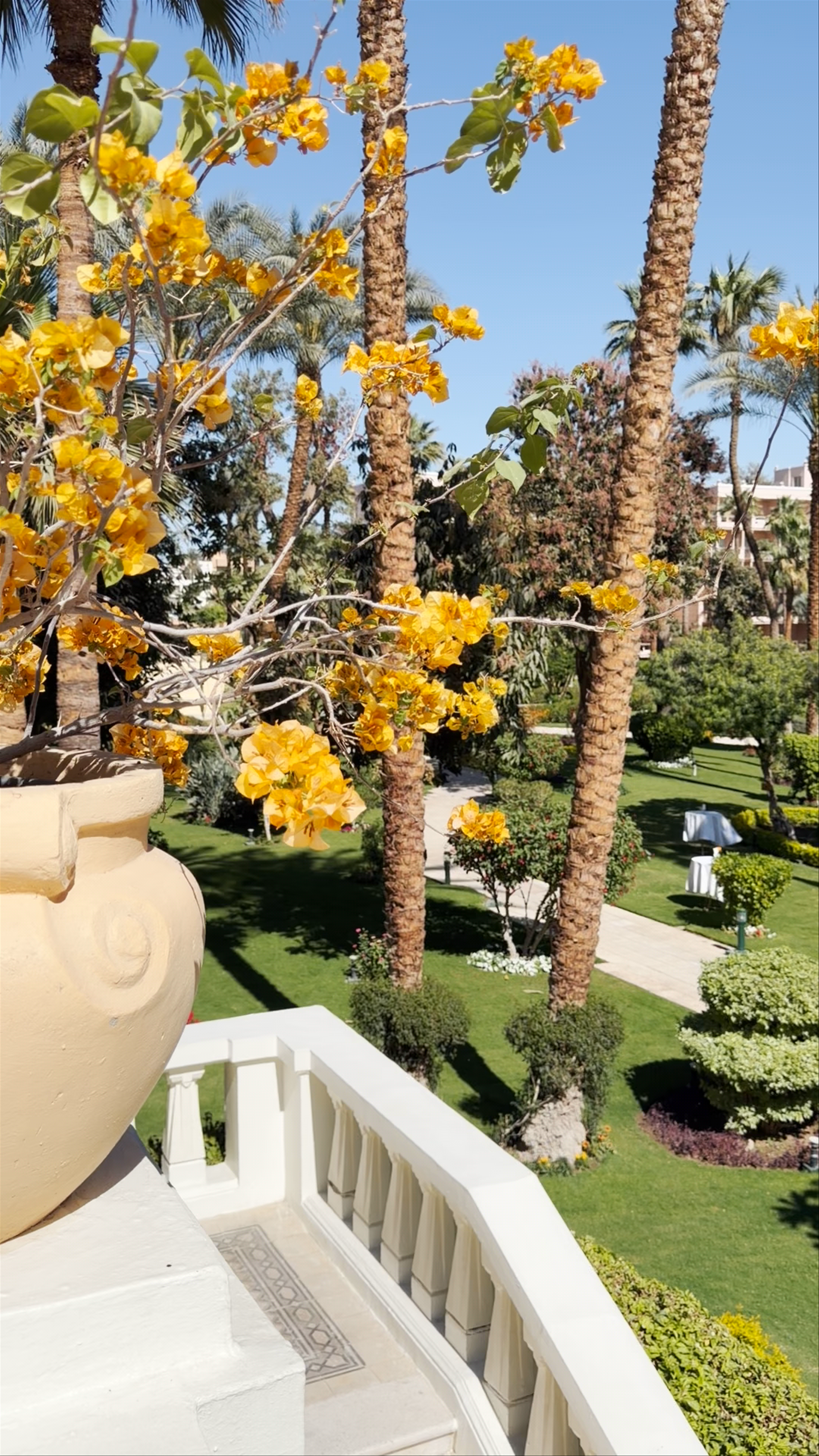 Sofitel Winter Palace Luxor