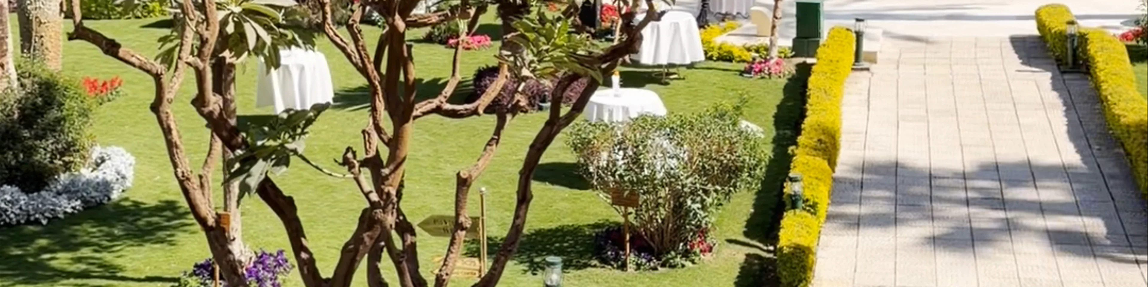 Sofitel Winter Palace Luxor
