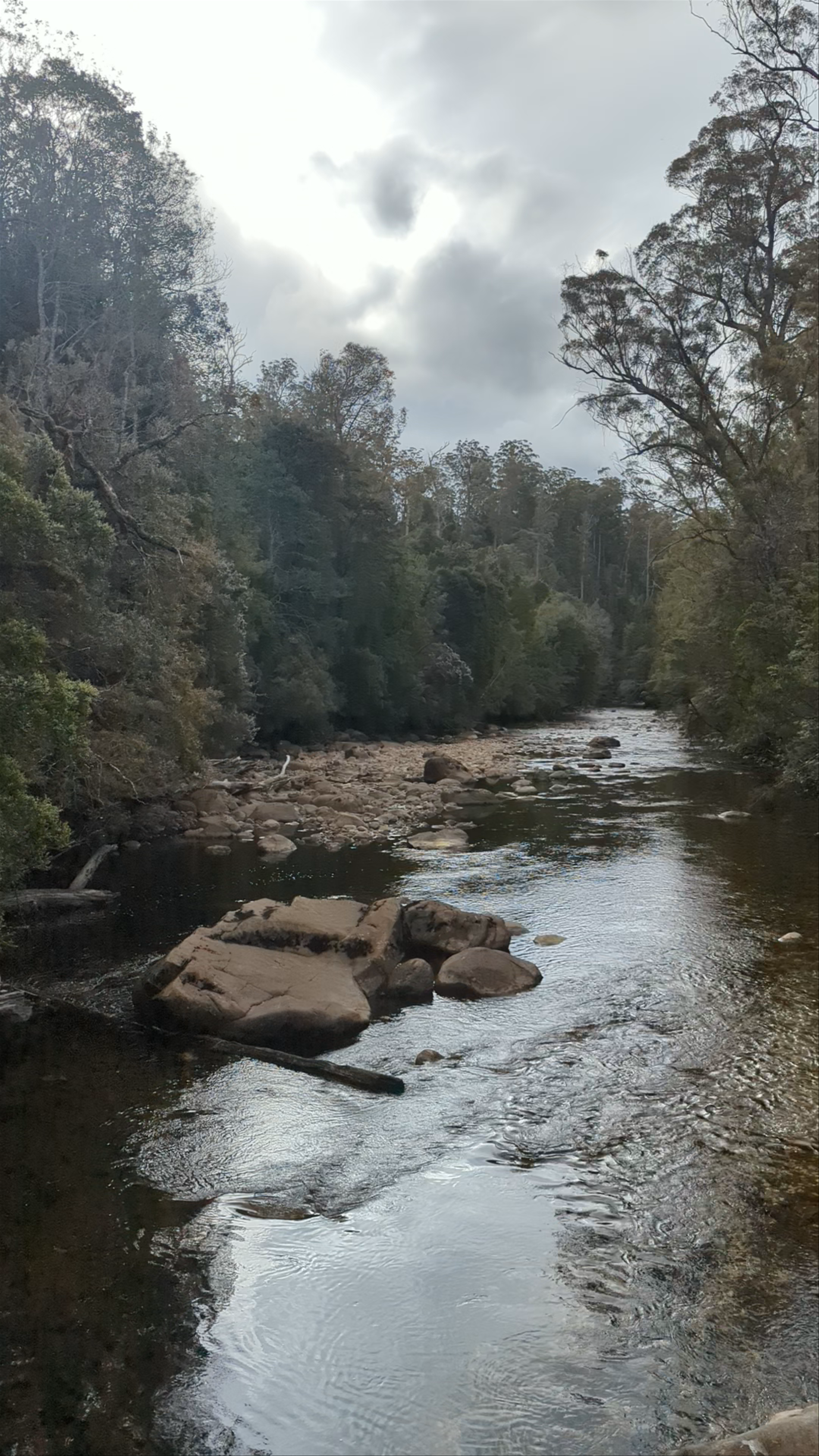 Frenchmans Cap Suspended Bridge