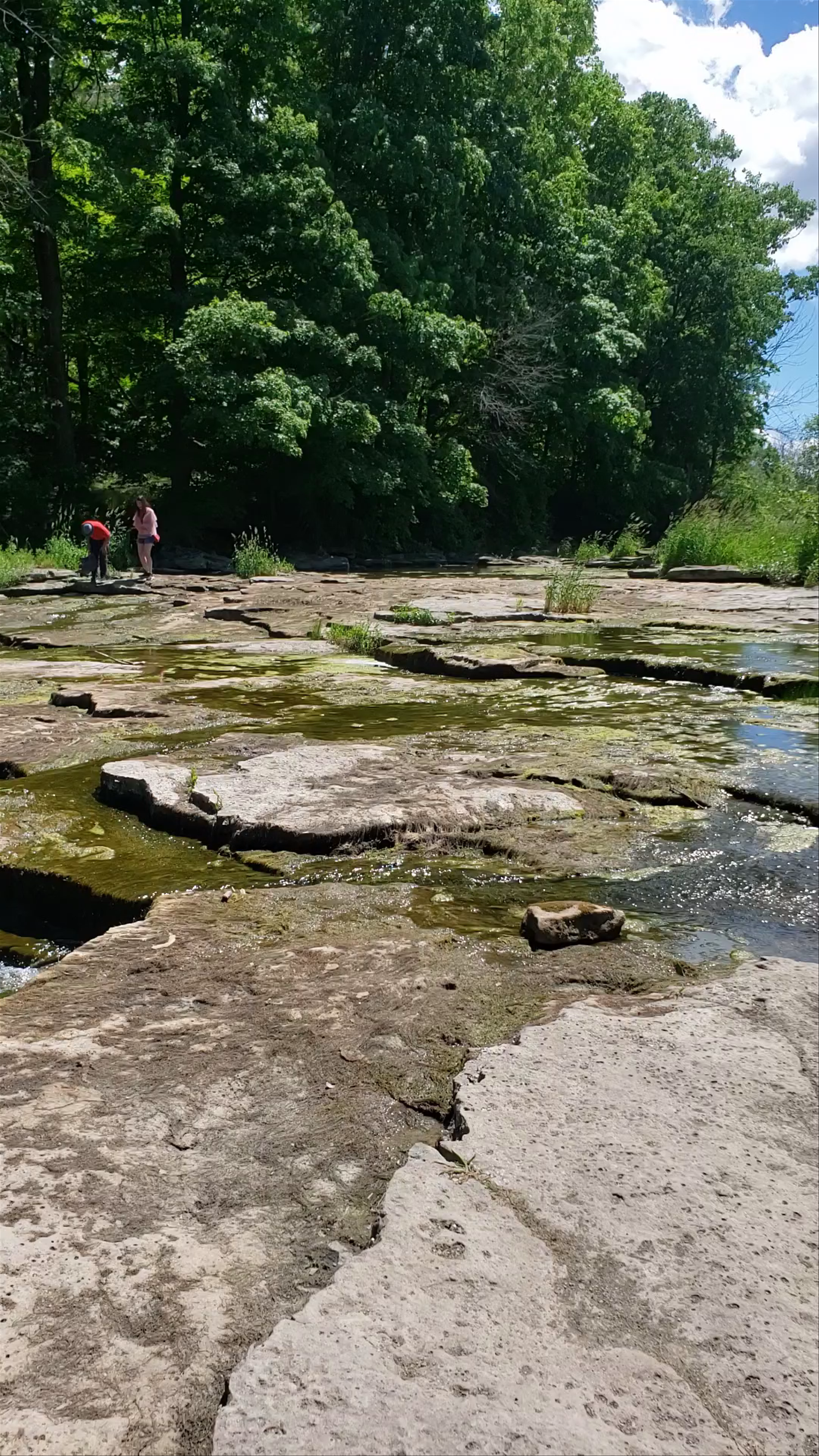Ball's Falls Conservation Area