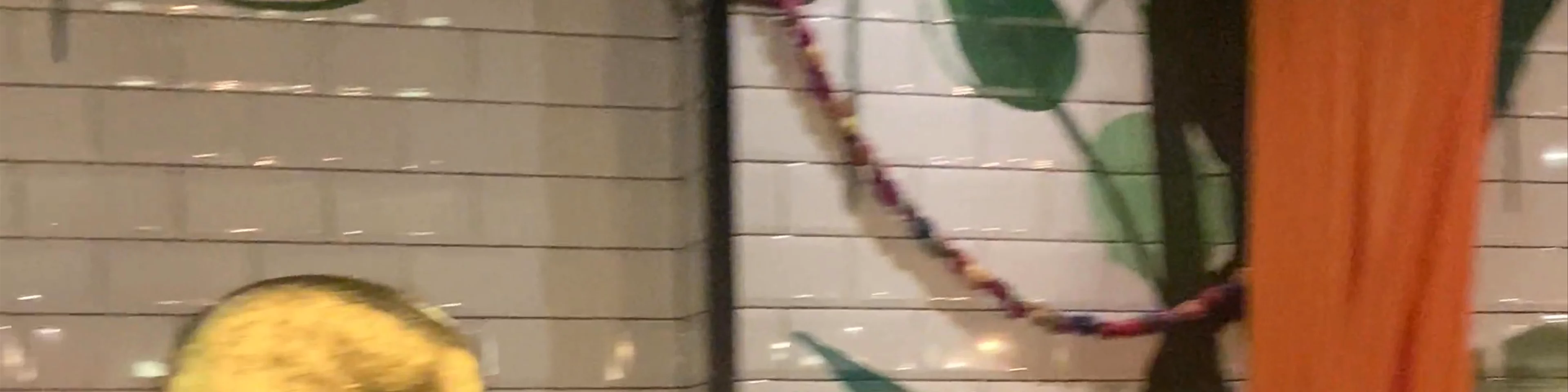 Plaza México