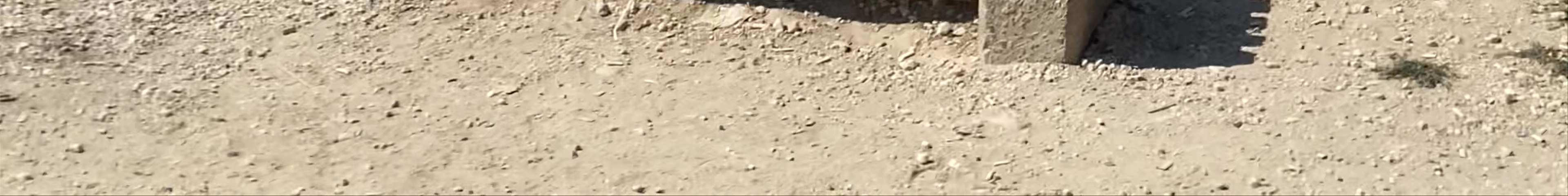 Tours & experiences in Jarash