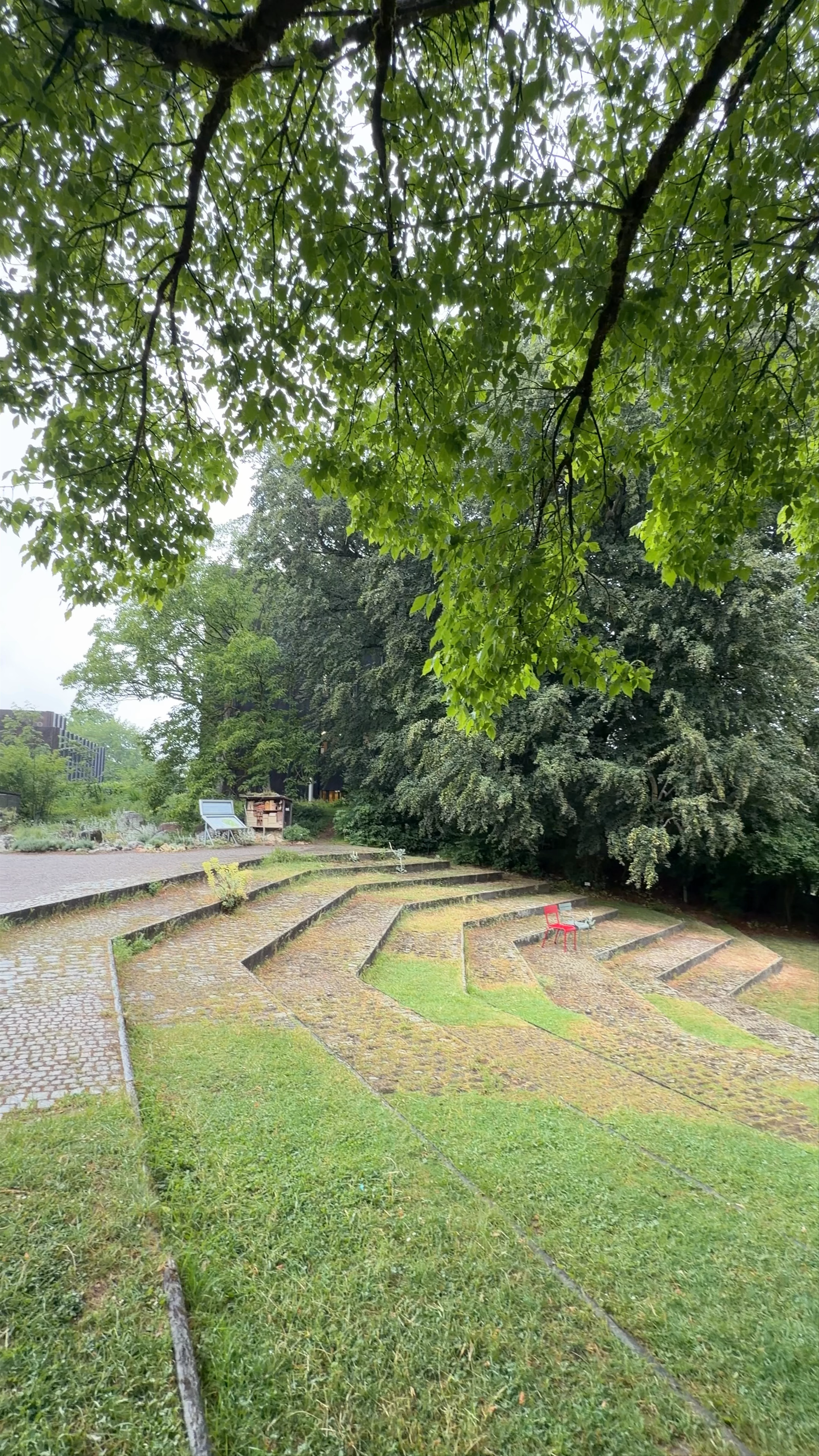 Botanical Garden, Zollikerstrasse