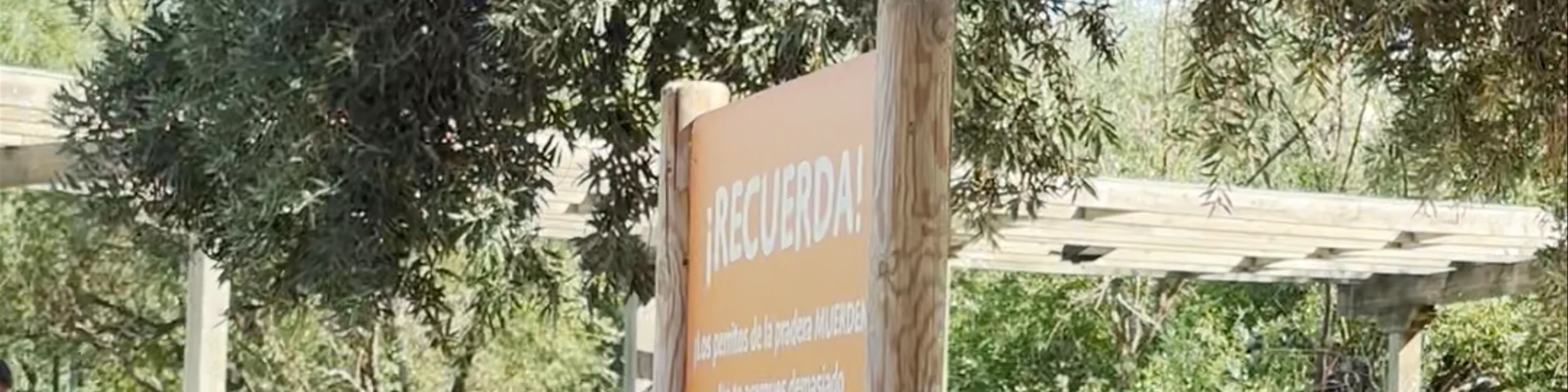 Perritos de las Praderas