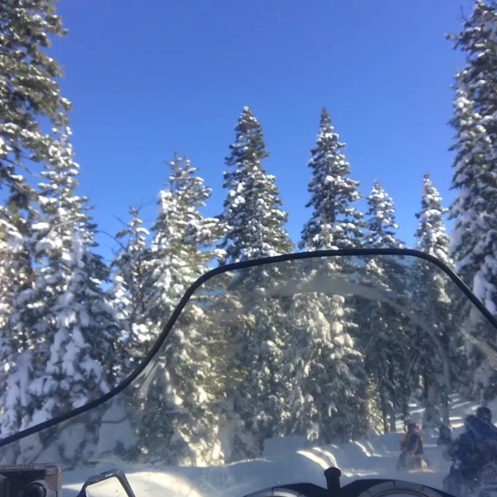 Cold stream Adventures - Clip of the ride - Tours Near Me - Truckee, California