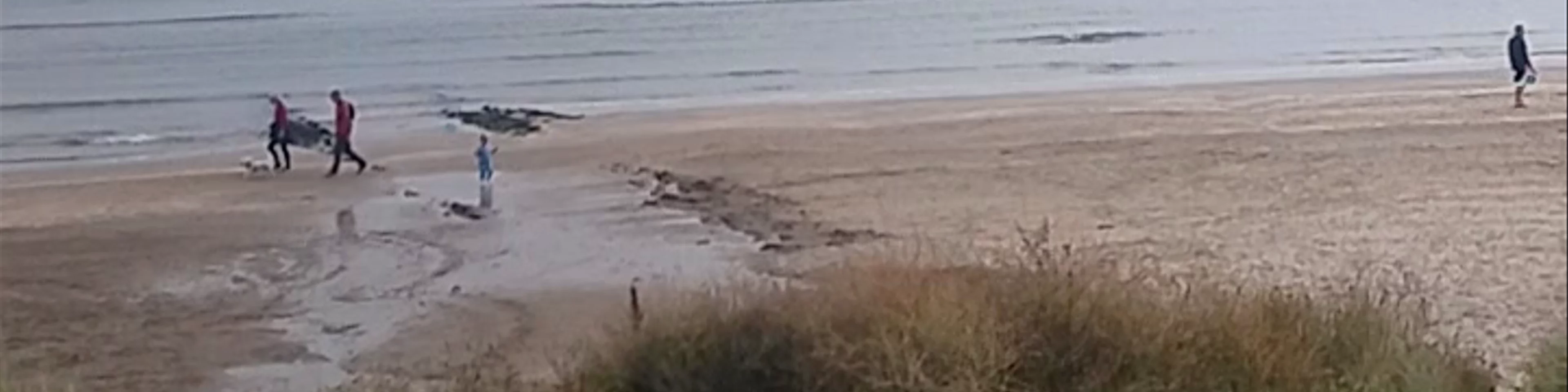 Malahide Beach