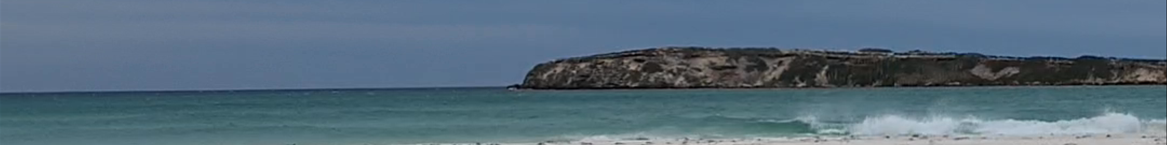 Tours & experiences in Lancelin