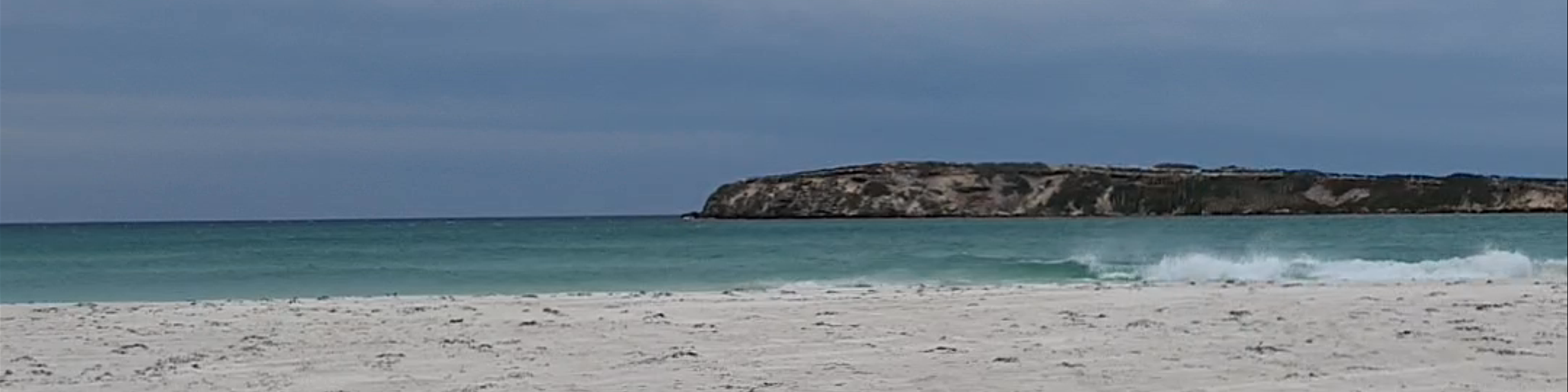 Lancelin