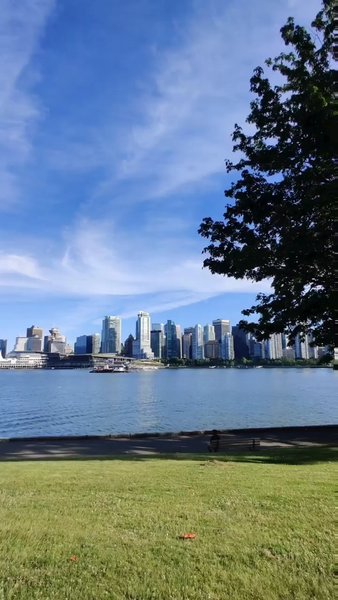 Photo of Stanley Park Skyline
