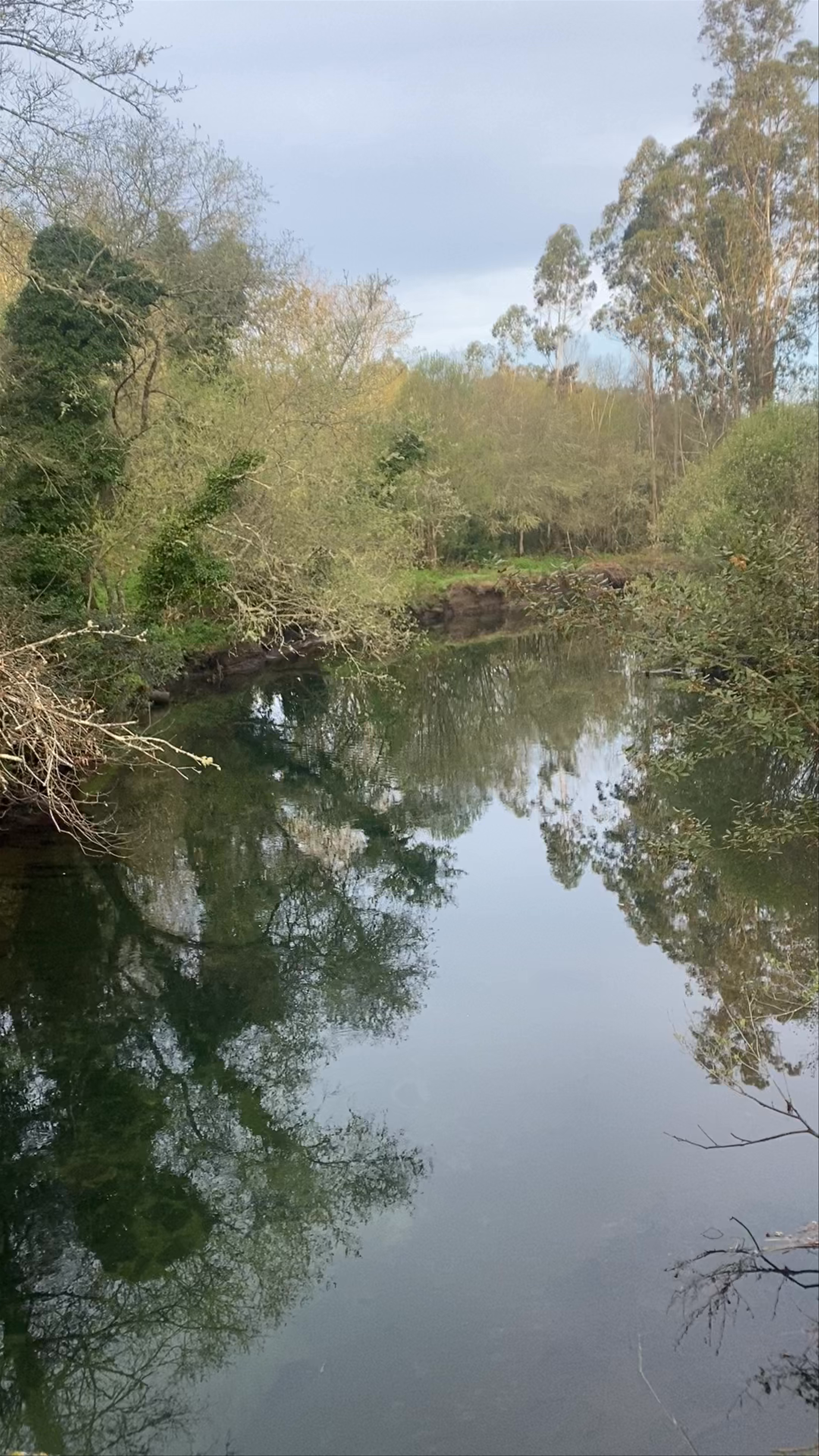 Ponte Medieval Do Lambre: A Peaceful Riverside Walk in Northern Spain