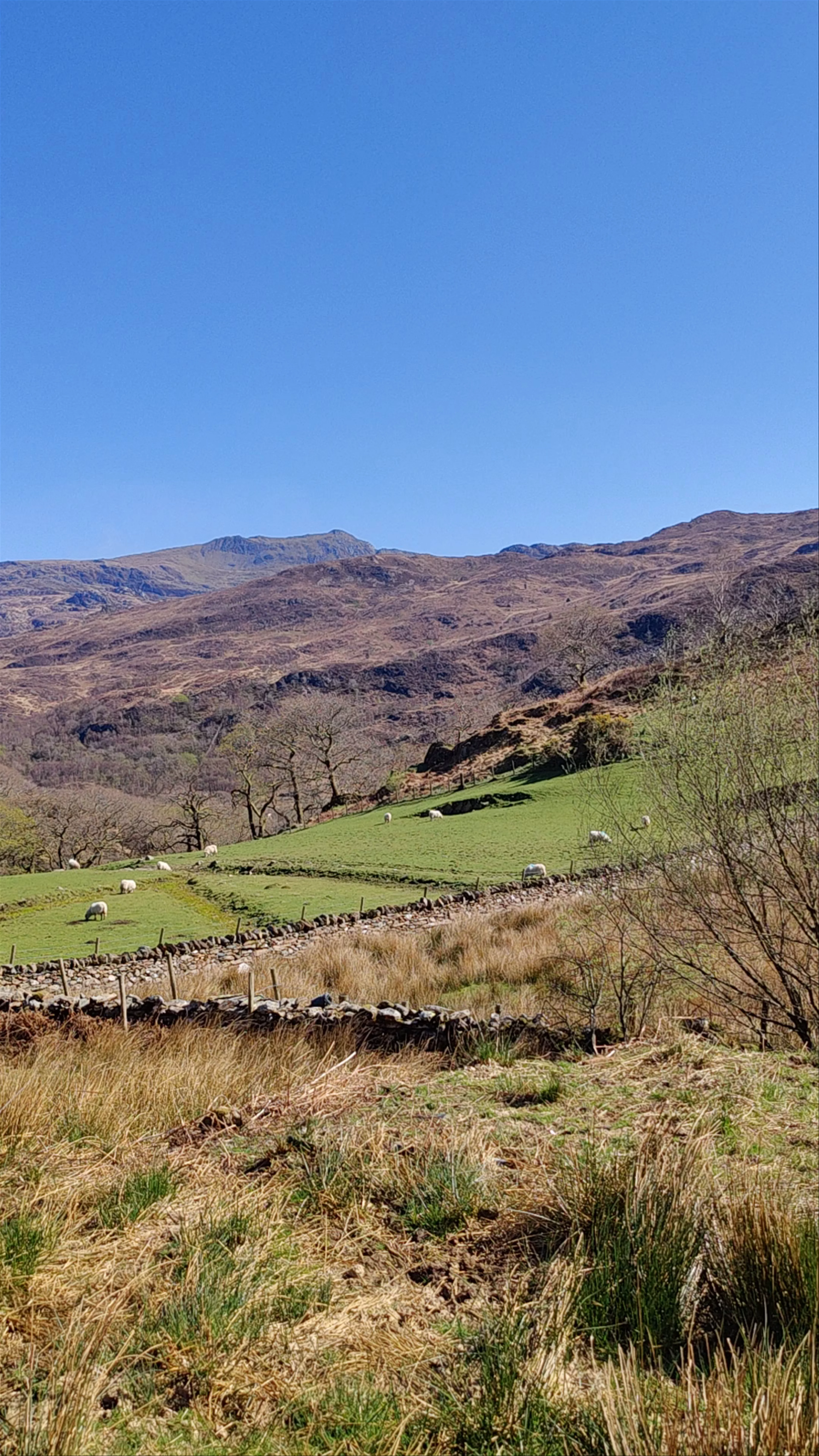 Craflwyn Nature Reserve