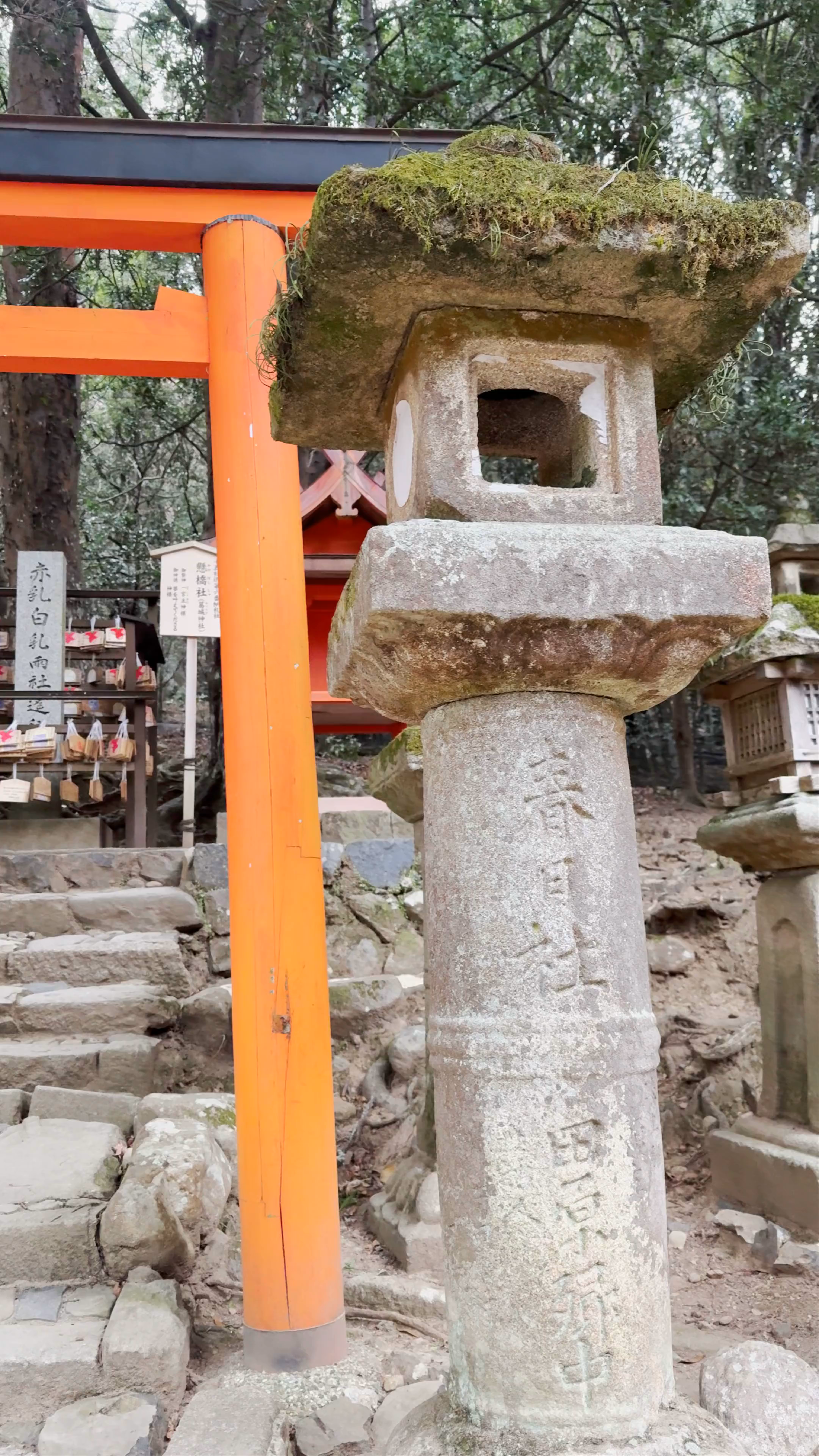 Kasuga Taisha Shrine: Mystical Stone Lanterns of Nara