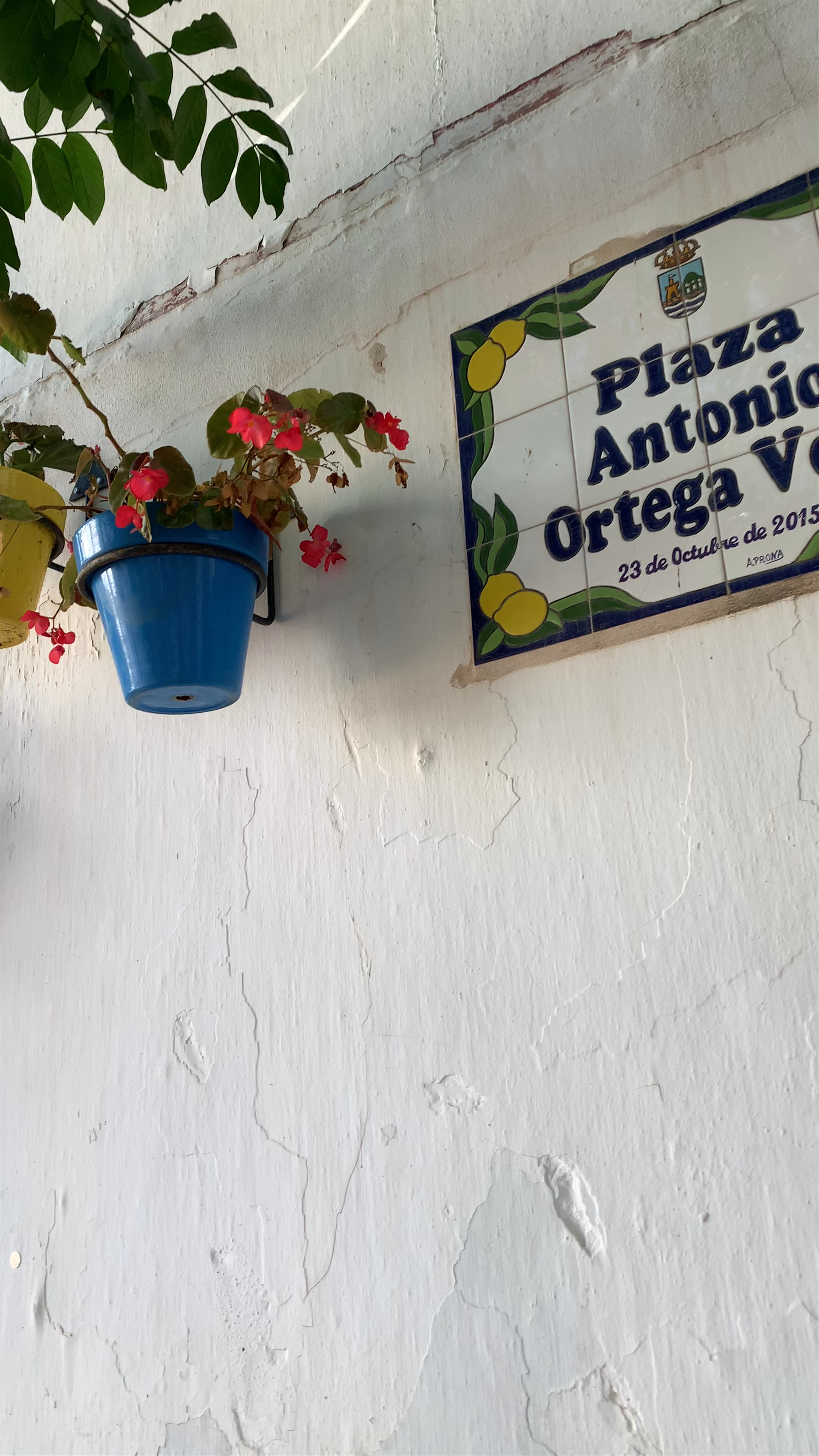 Plaza Antonio Ortega Vela