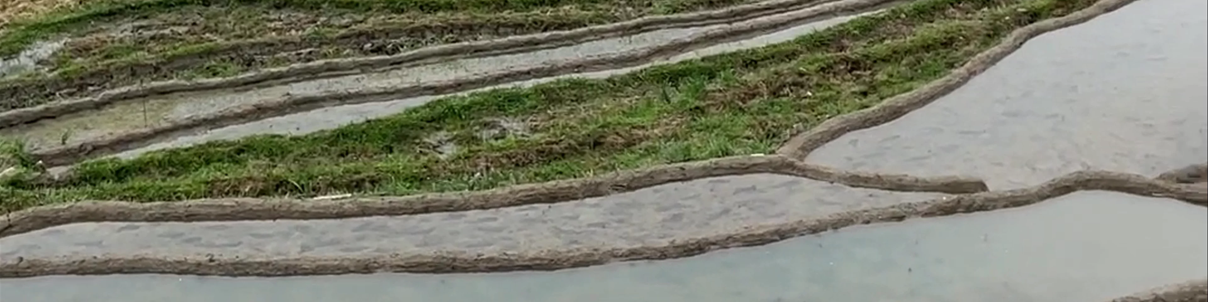 Mama Sung Sapa