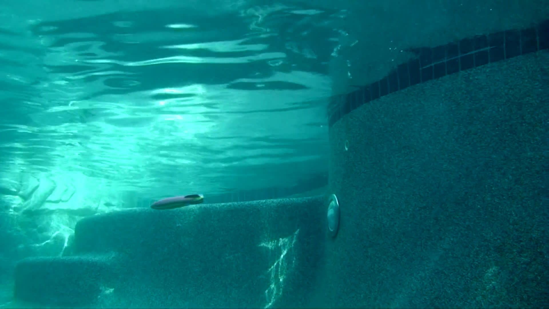 A golden retriever transitions from relaxing indoors with its owner to playing fetch in a backyard swimming pool.