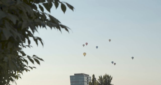Colorful hot air balloons in the sky