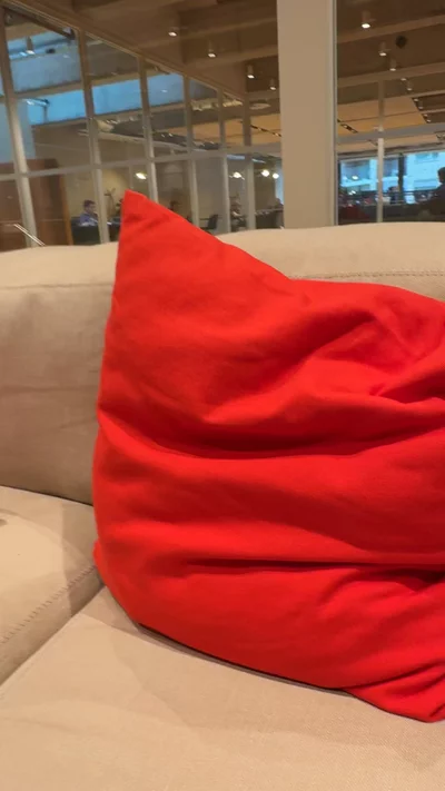 Throw Pillow image 1