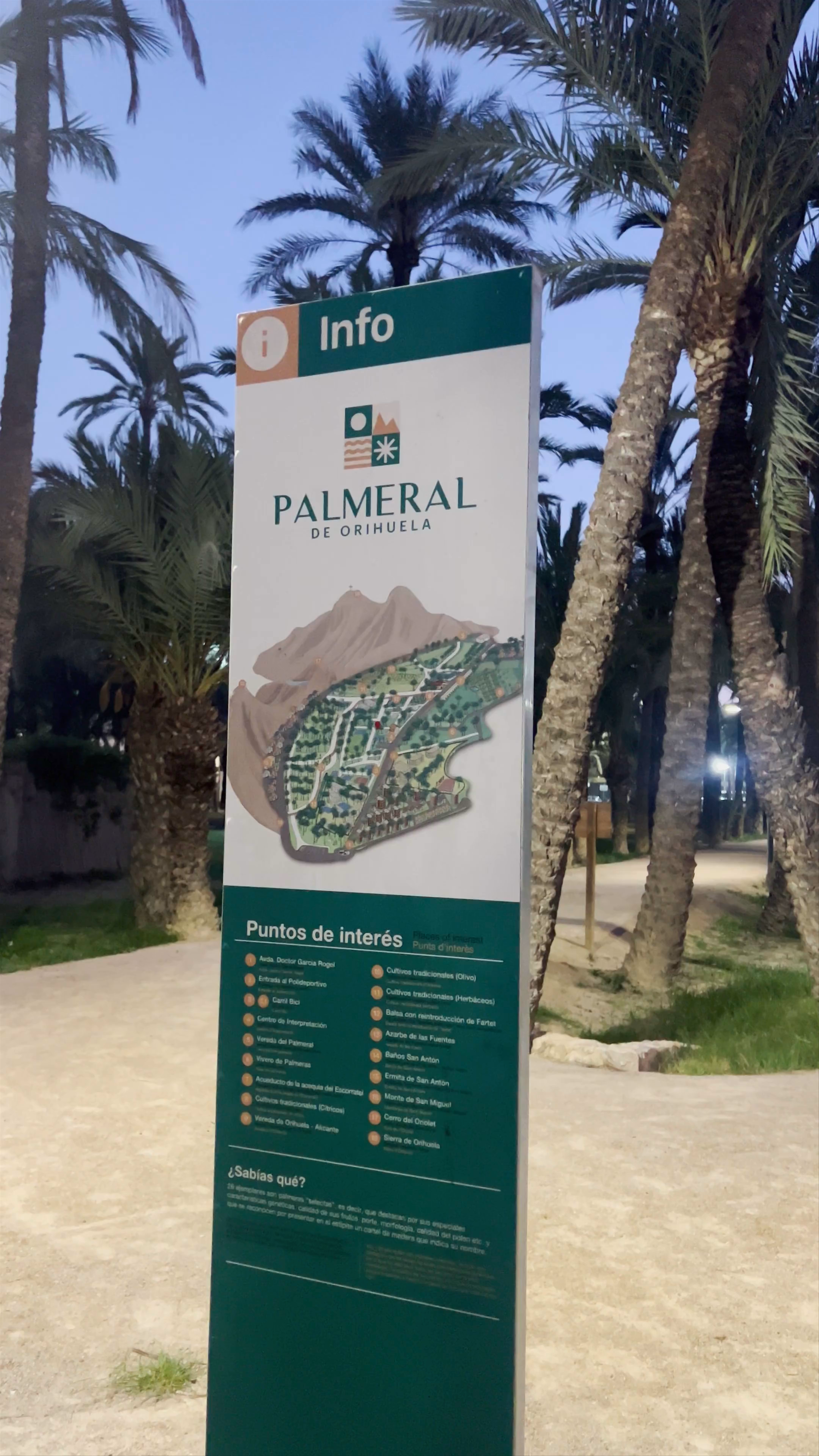 Palmeral de Orihuela: Twilight Stroll Through an Oasis of Date Palms