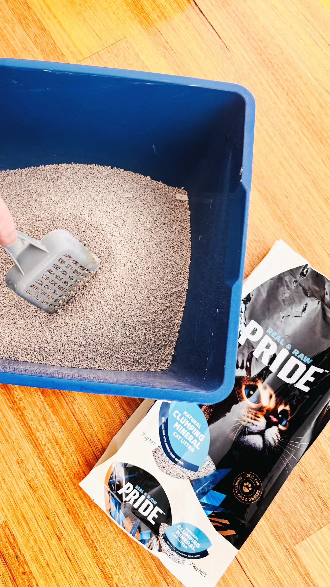Pride Cat Litter | Pet UGC