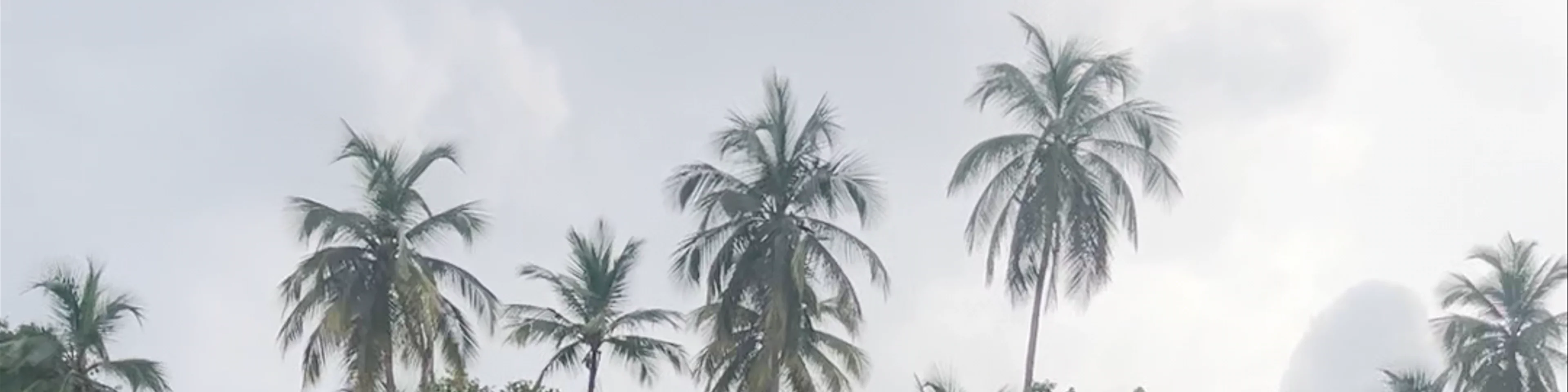 Praia Boi