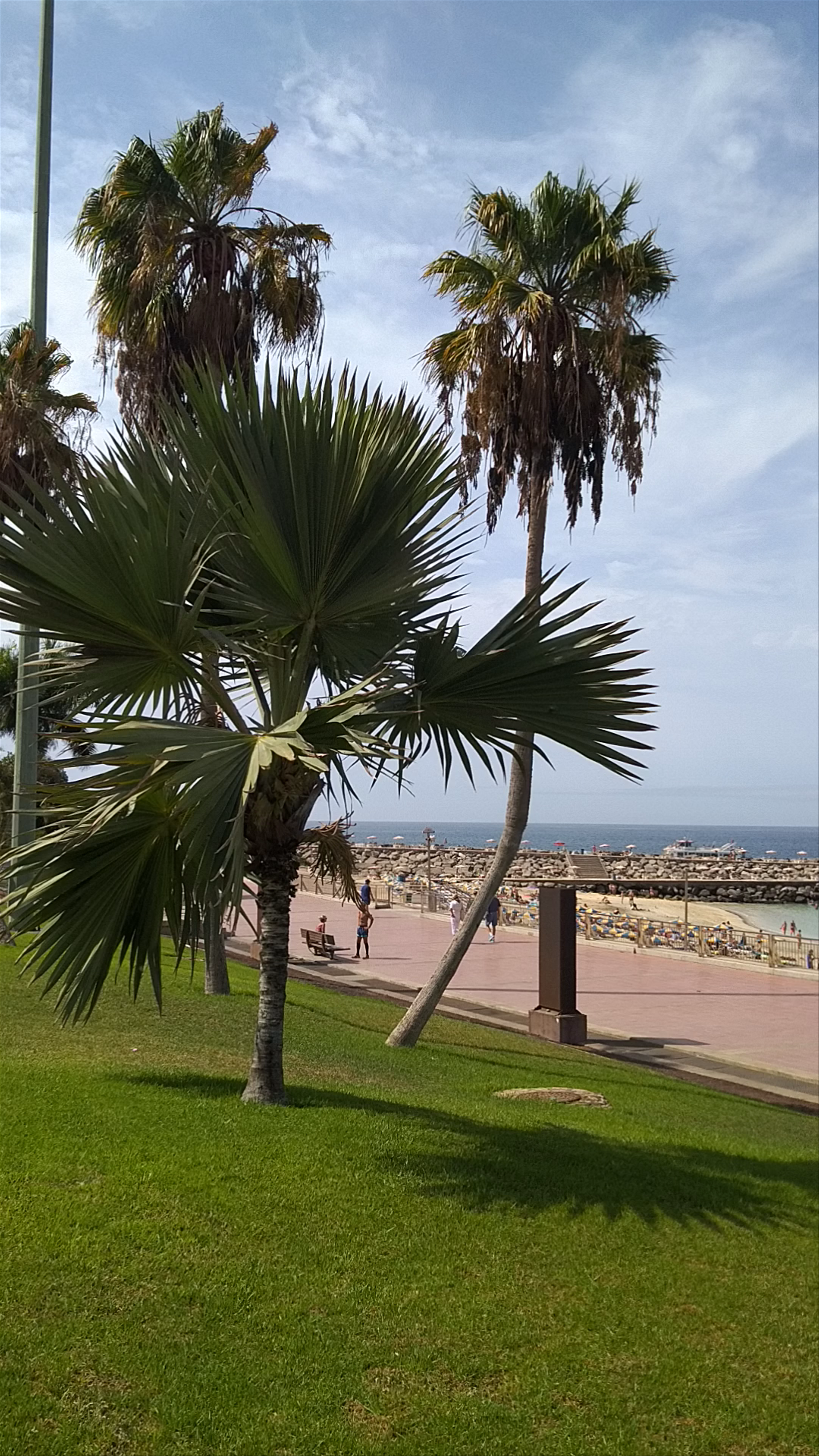 Sun-drenched Serenity at Playa de Amadores, Puerto Rico de Gran Canaria