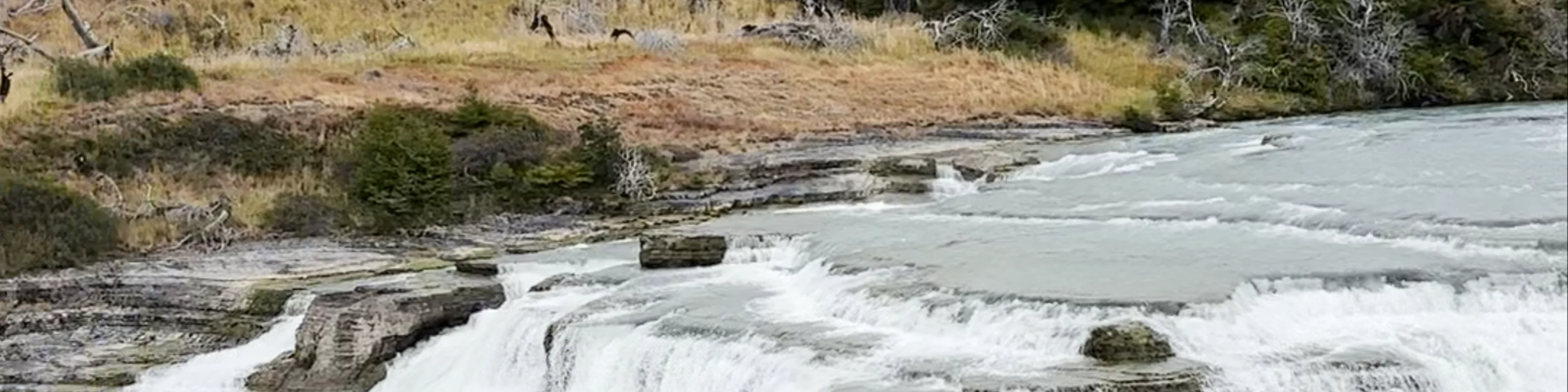 Cascada Rio Paine