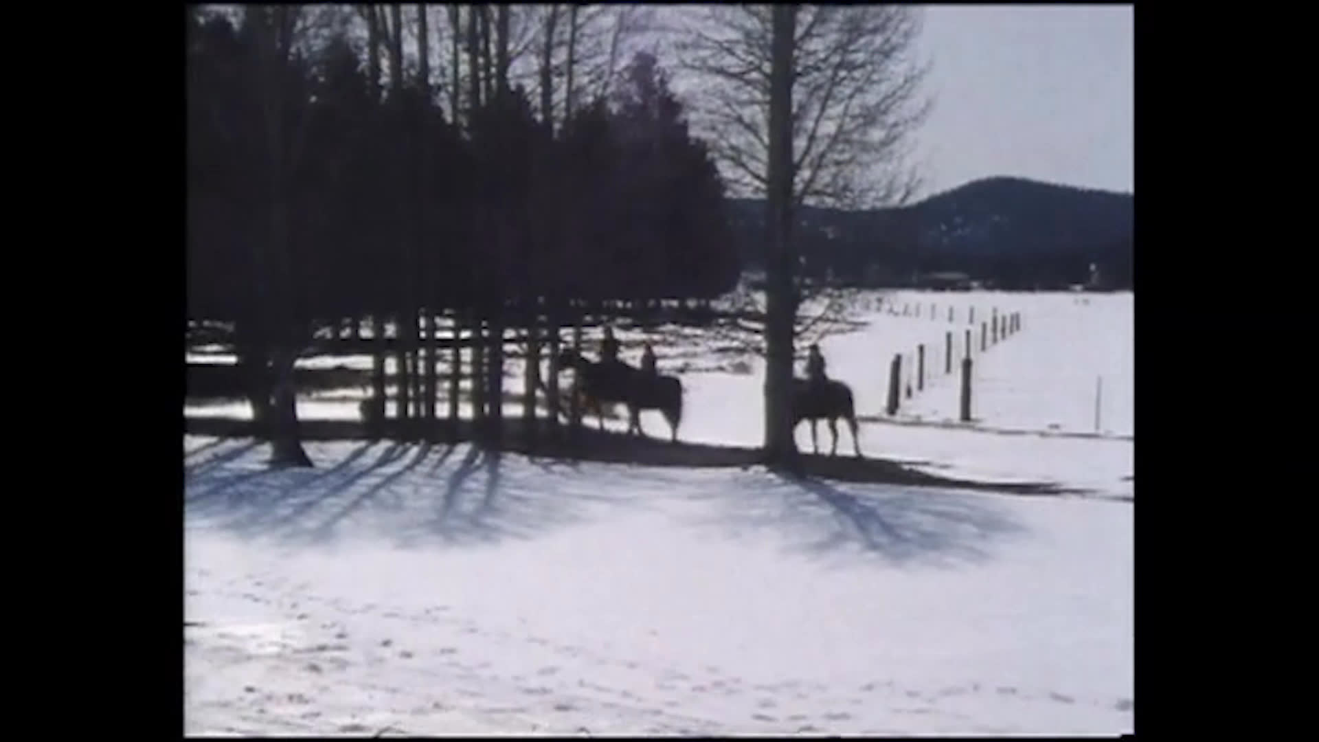 Several riders cross a snow-covered pasture beside a line of fence posts and bare trees. Later, a woman and child sit by a brick fireplace, discussing an injury and birds.