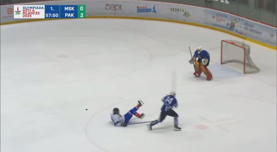 Jan Hanzlík's Defensive Masterclass | HC Dynamo Pardubice U15 Highlights