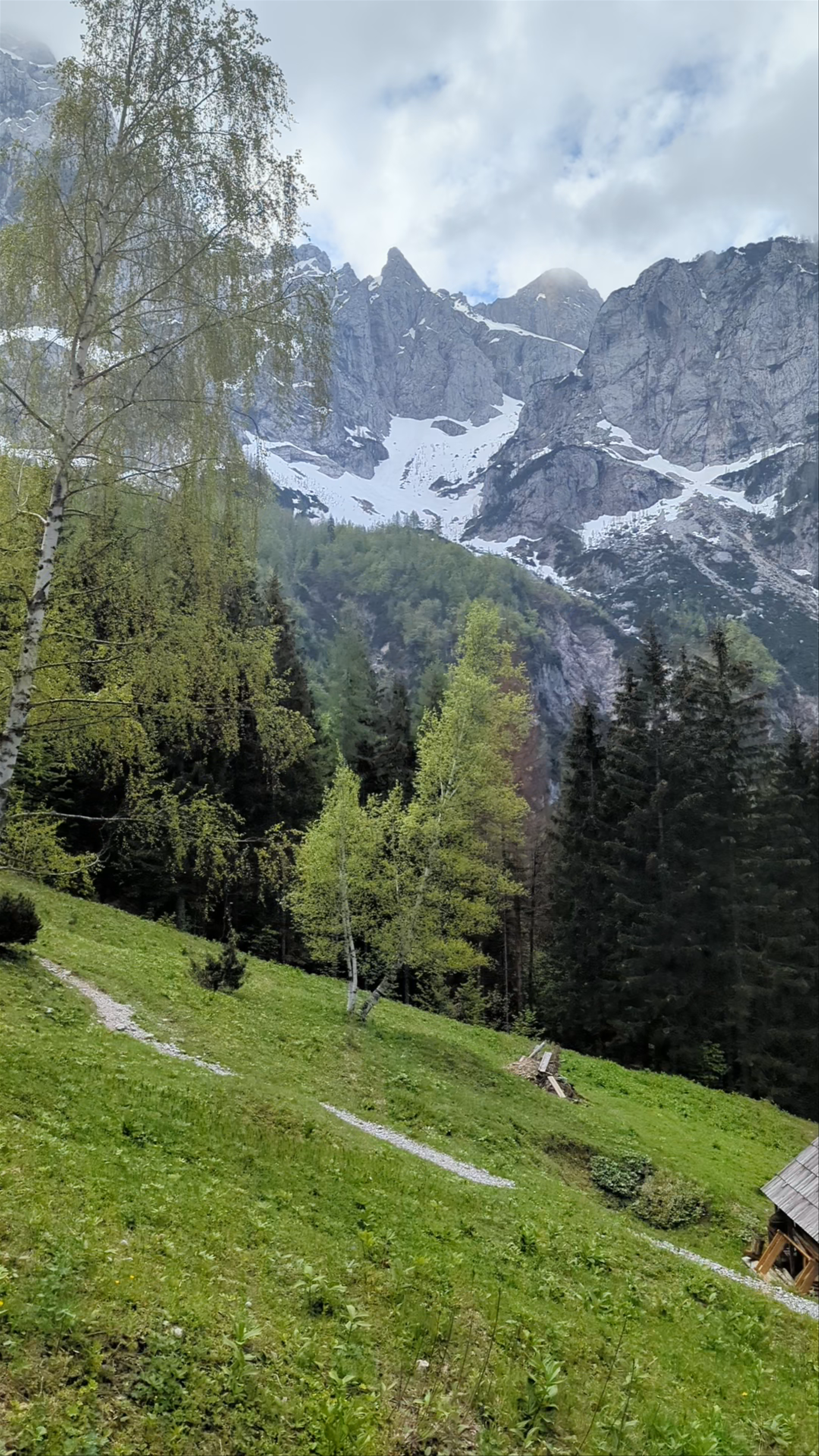 Planinsko društvo Solčava