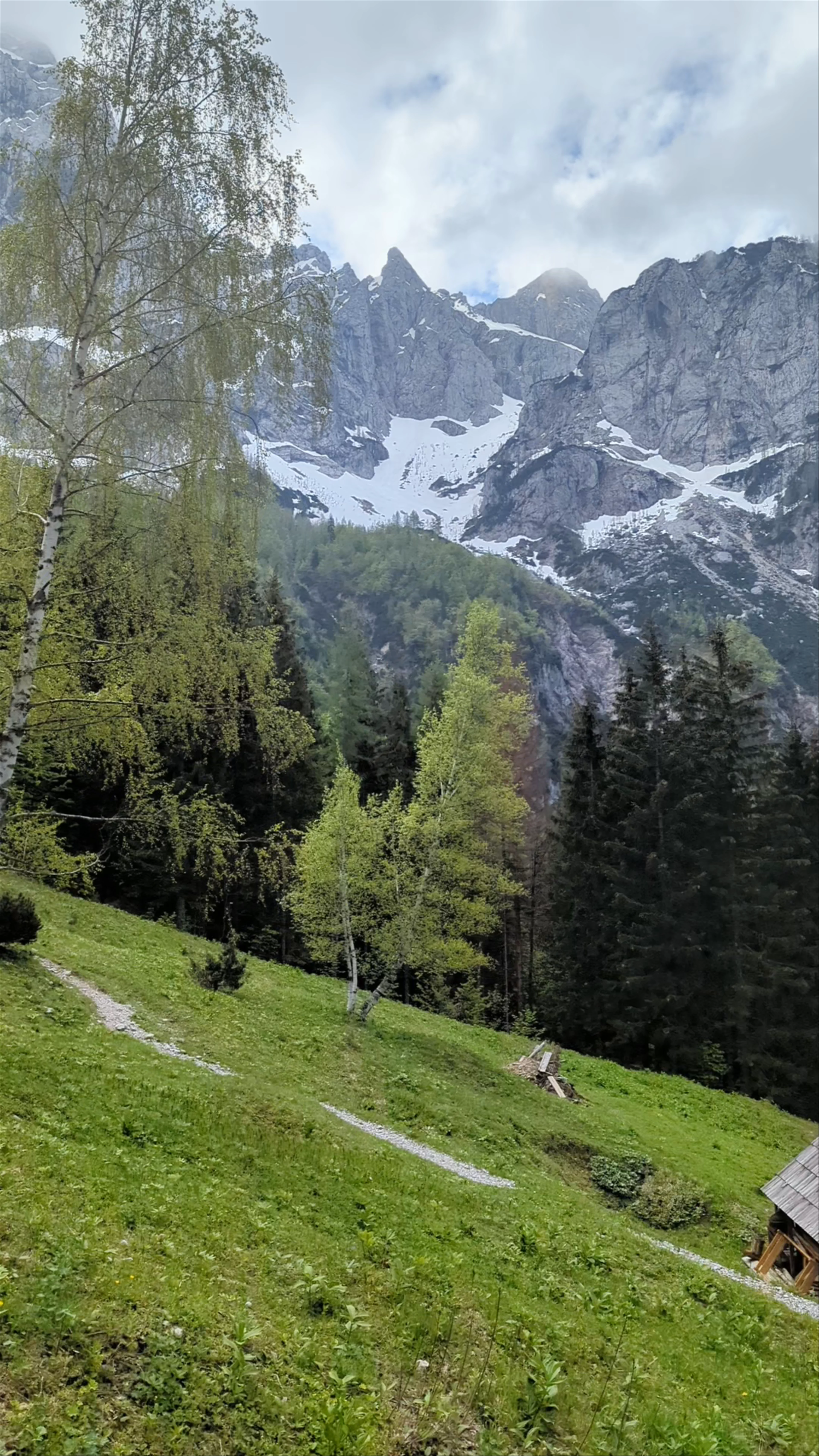 Planinsko društvo Solčava, Logarska Dolina
