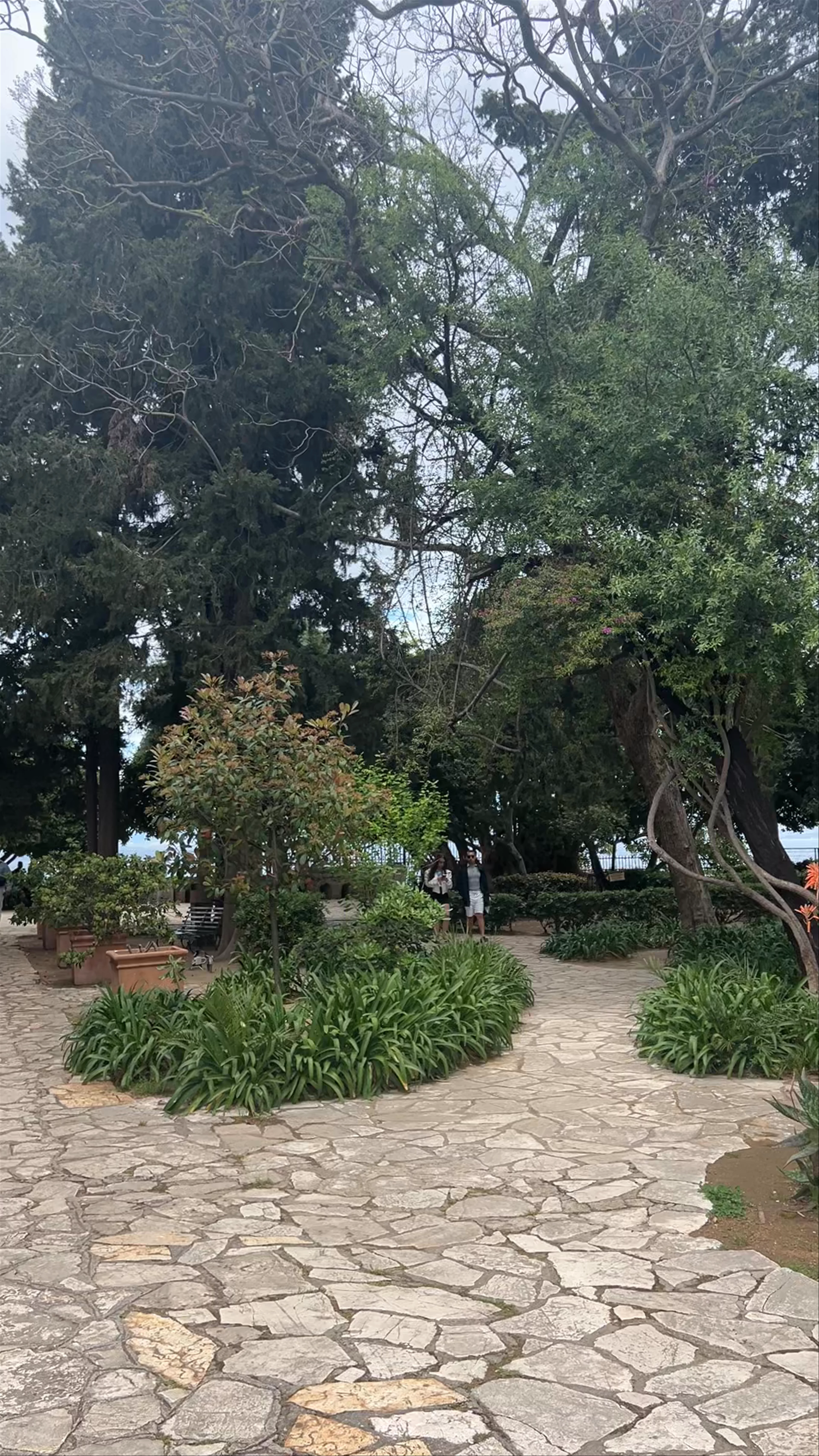 Boschetto Garden Lawrence & Gerald Durrell